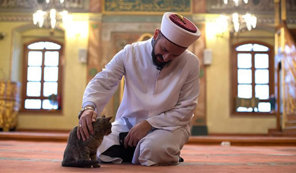 Ein Mann in einer Moschee der eine Katze streichelt