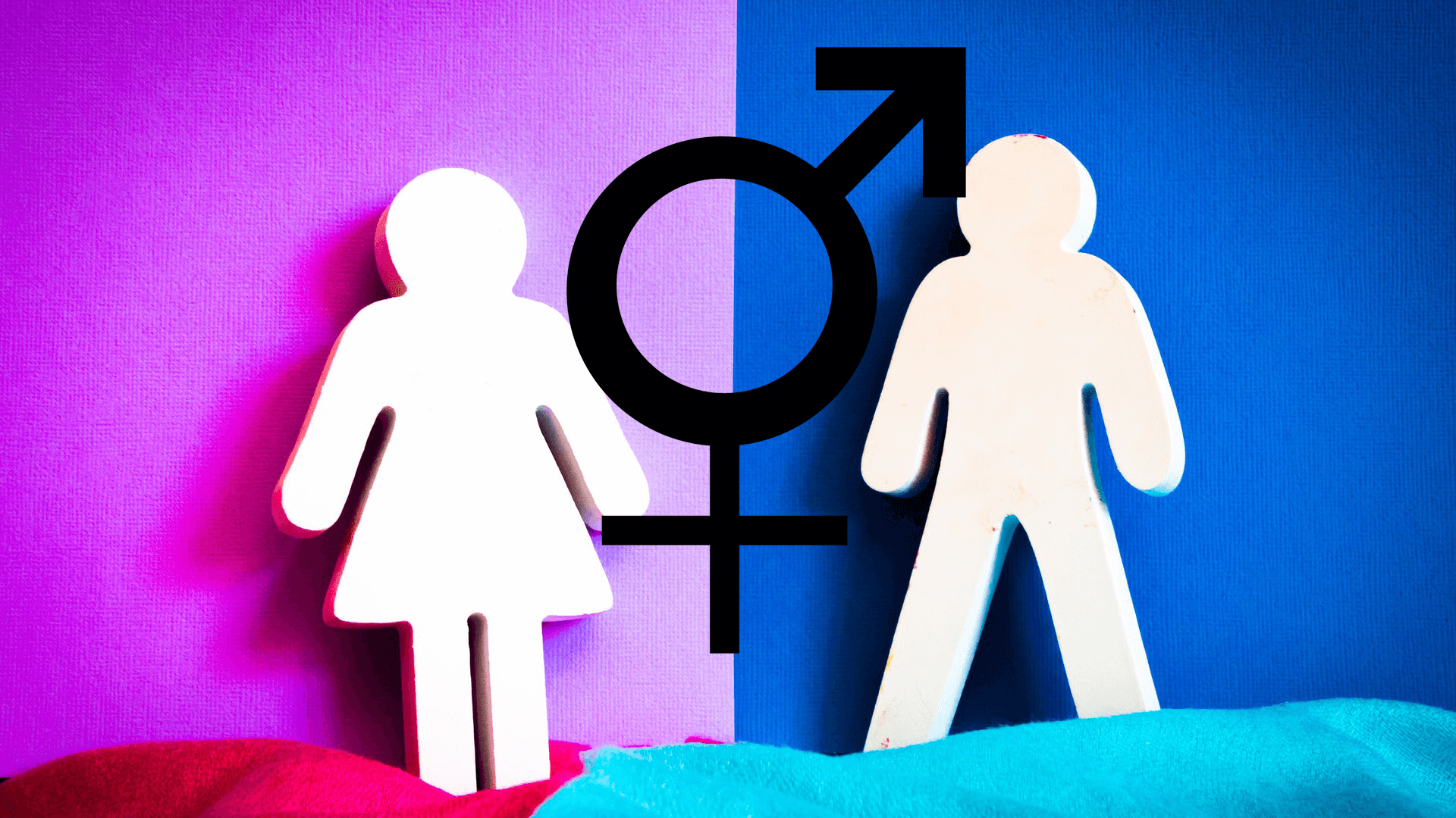 Was ist eine Frau? – Transgenderideologie und Geschlechtsumwandlungen